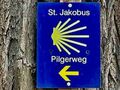 3. Etappe: Auf dem St. Jakobus-Pilgerweg über die Klusfelsen nach Halberstadt
